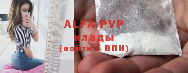 Альфа ПВП Горняк