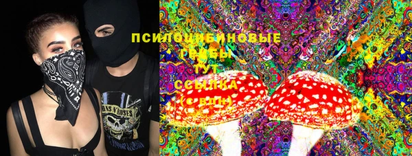 Альфа ПВП Горняк