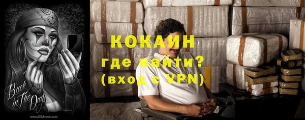 крисы Гусев